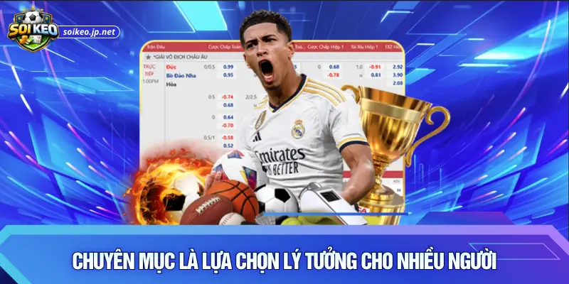 Chuyên mục là lựa chọn lý tưởng cho nhiều người