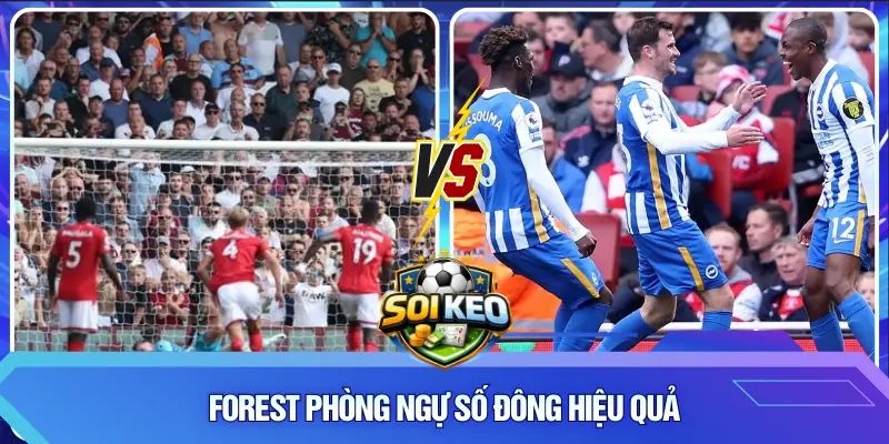 Forest phòng ngự số đông hiệu quả