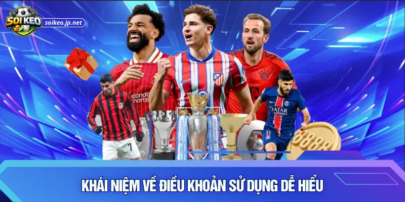 Khái niệm về điều khoản sử dụng dễ hiểu