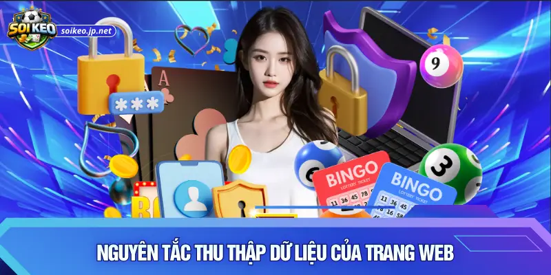 Nguyên tắc thu thập dữ liệu của trang web