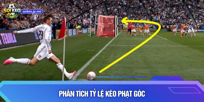Phân tích tỷ lệ kèo phạt góc