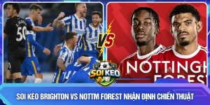 Soi kèo Brighton vs Nottm Forest